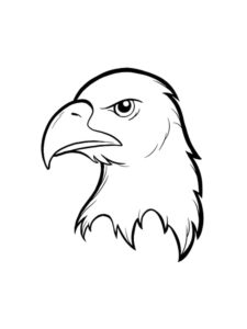 Eagle coloring page