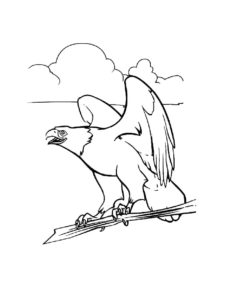 Eagle coloring page