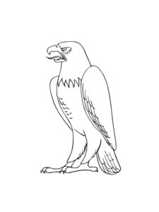 Eagle coloring page