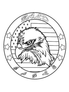 Eagle coloring page