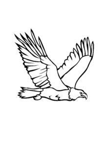 Eagle coloring page