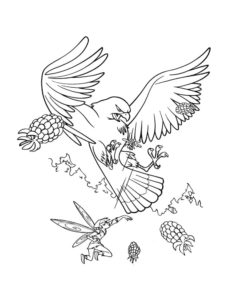 Eagle coloring page