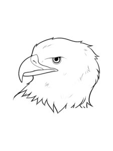 Eagle coloring page