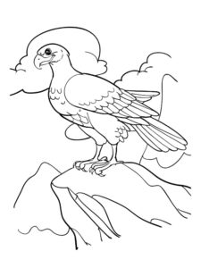 Eagle coloring page