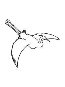 Egret coloring page