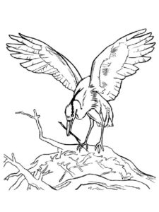 Egret coloring page