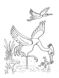 Egret coloring page