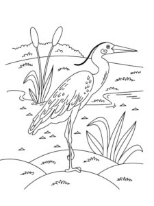 Egret coloring page