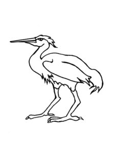 Egret coloring page