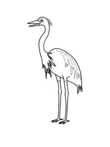 Egret coloring page