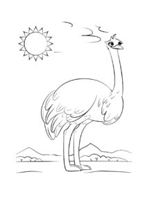 Emu coloring page