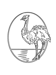 Emu coloring page