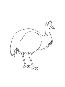 Emu coloring page