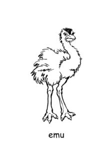 Emu coloring page