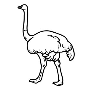 Emu coloring pages