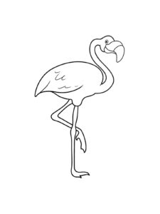 Flamingo coloring page