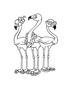 Flamingo coloring page