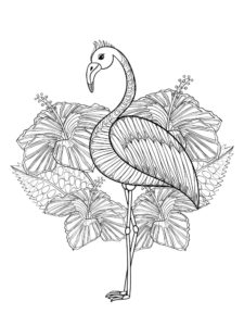 Flamingo coloring page