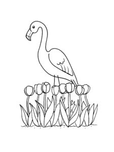 Flamingo coloring page