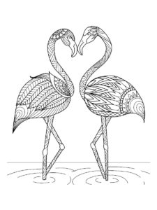 Flamingo coloring page