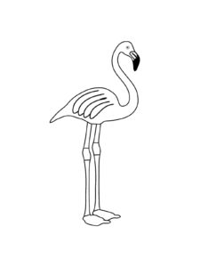 Flamingo coloring page