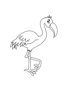 Flamingo coloring page