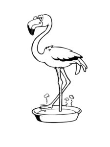 Flamingo coloring page