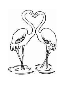 Flamingo coloring page