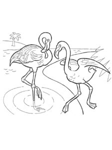 Flamingo coloring page