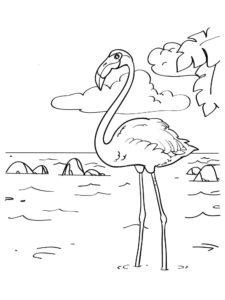 Flamingo coloring page