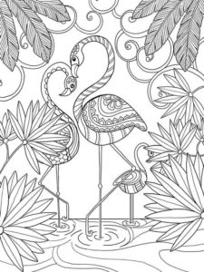 Flamingo coloring page