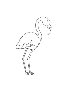 Flamingo coloring page