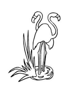 Flamingo coloring page