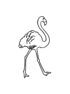 Flamingo coloring page