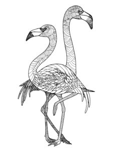 Flamingo coloring page