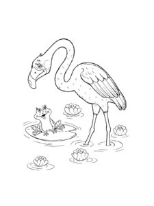 Flamingo coloring page