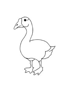 Goose coloring page