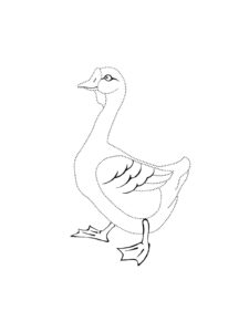 Goose coloring page