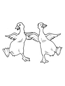 Goose coloring page