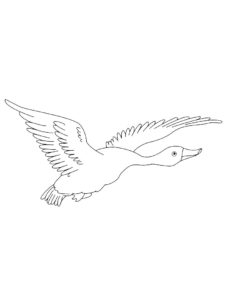 Goose coloring page