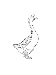 Goose coloring page