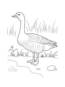 Goose coloring page