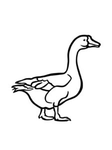 Goose coloring page