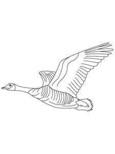 Goose coloring page