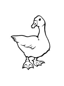 Goose coloring page