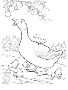 Goose coloring page