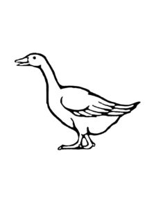 Goose coloring page