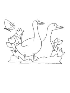 Goose coloring page