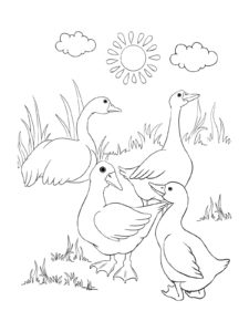 Goose coloring page