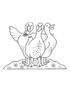 Goose coloring page